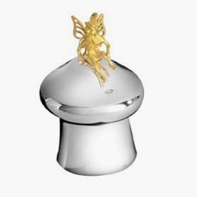 Silver Toothfairy Box